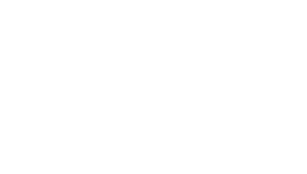 logo-thealignmenttechnique-wolkje