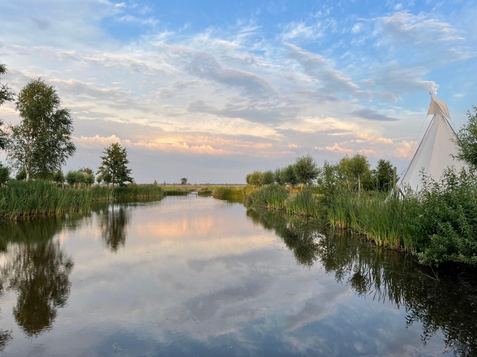 tat nature
